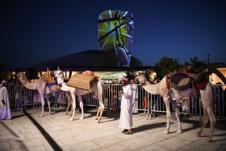 قوافل الإبل تُعيد تاريح نقل الحجاج و مستلزماتهم