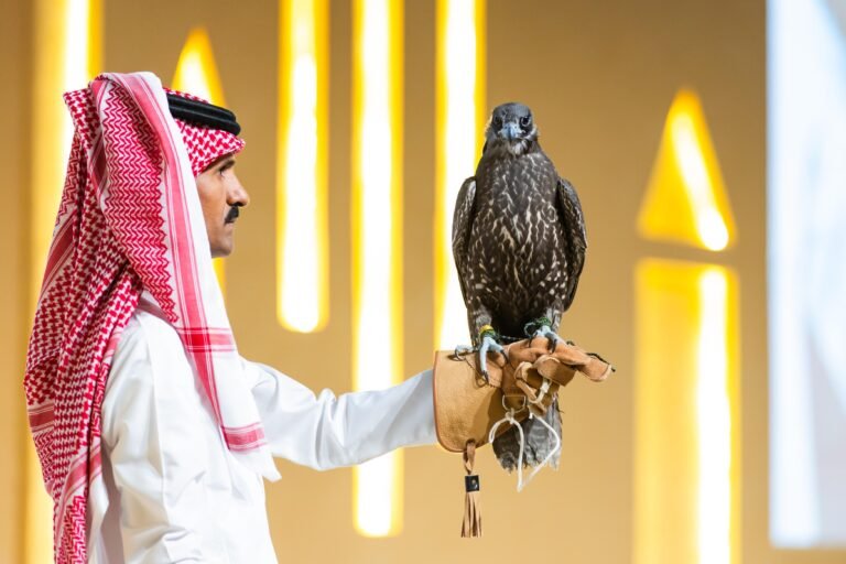 بيع 3 صقور بـ 102 ألف ريال في الليلة الثالثة لمنصة المزاد الدولي لمزارع إنتاج الصقور