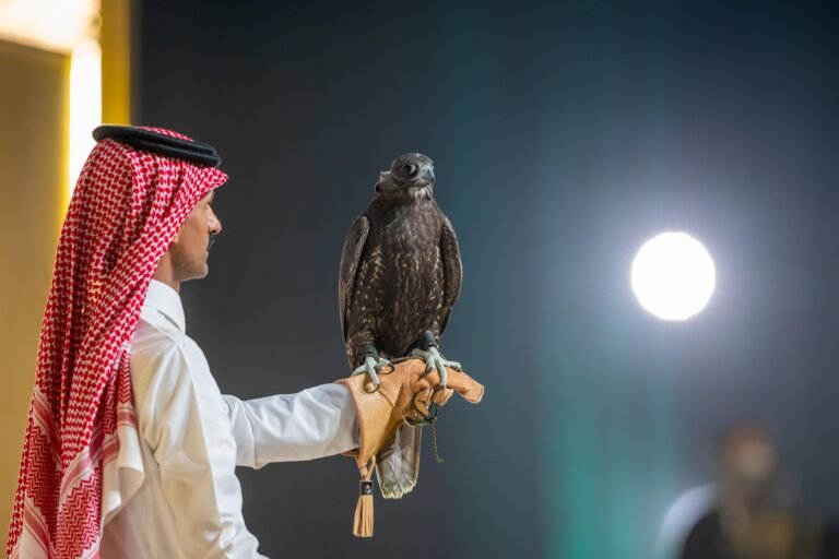 بيع 3 صقور بريطانية في الليلة السابعة لمنصة المزاد الدولي لمزارع إنتاج الصقور 2024