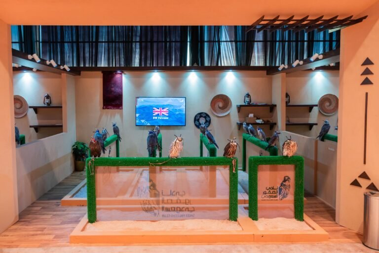 مزرعة بريطانية تقدم 17 من صقور “الجير” في المزاد الدولي لمزارع إنتاج الصقور 2024