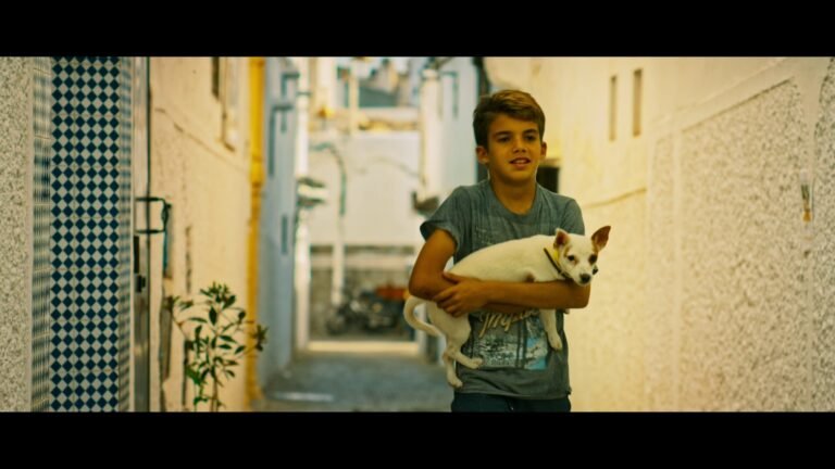  مهرجان أجيال السينمائي 2024 يحتفي بالعام الثقافي قطر – المغرب 2024 بعروض خاصة لأفلام مغربية قصيرة