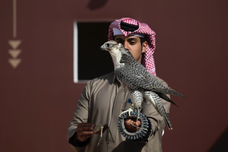 تنافس كبير بين المُلاك المحليين على الكؤوس في اليوم الـ 15 لمهرجان الملك عبدالعزيز للصقور 2024