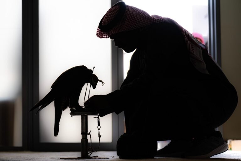 انطلاق مهرجان الملك عبدالعزيز للصقور 2024 في الرياض