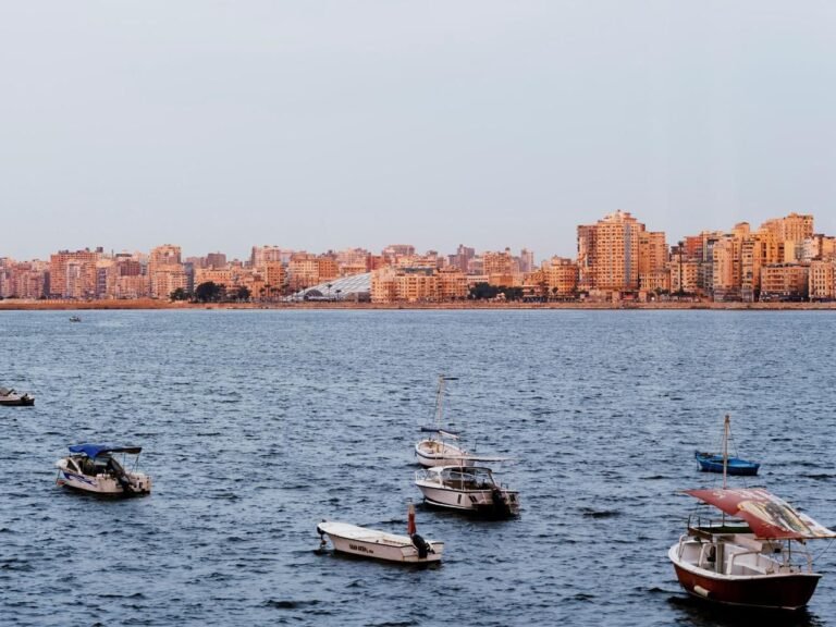معرض سنوهيتا: “الناس ومكتبة الإسكندرية” يحطّ رحاله في أبوظبي يوم 16 مايو
