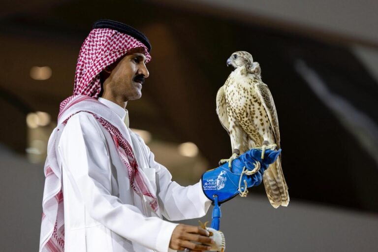 بيع 4 صقور بـ (652) ألف ريال في معرض الصقور والصيد السعودي الدولي 2025